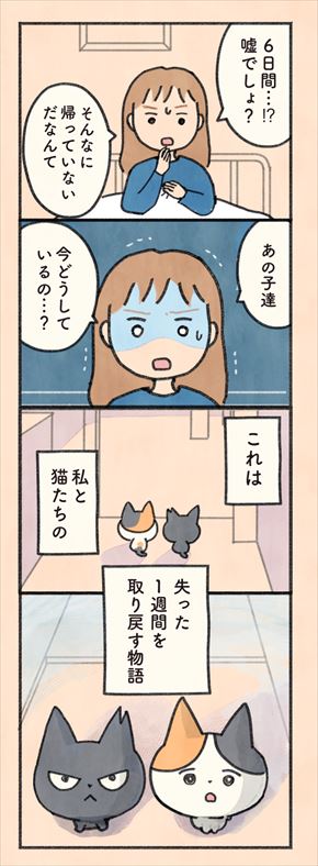 もしもなんて来ないと思ってた猫