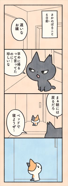 もしもなんて来ないと思ってた猫