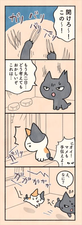 もしもなんて来ないと思ってた猫