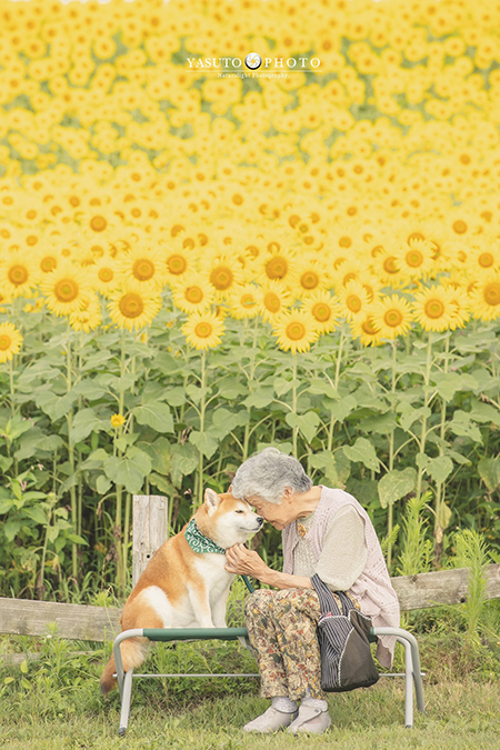 暑さを感じない