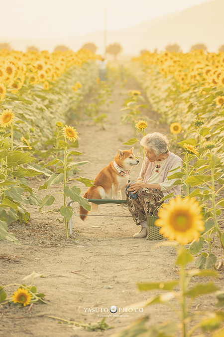見つめる先には