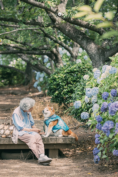なんだか涼しい風が