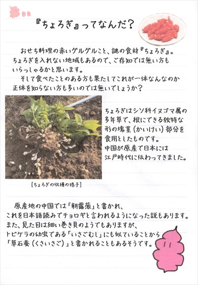 同人誌『ちょろぎ本』
