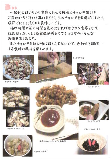 同人誌『ちょろぎ本』