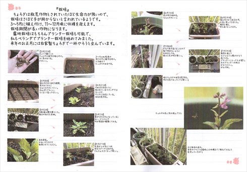 同人誌『ちょろぎ本』