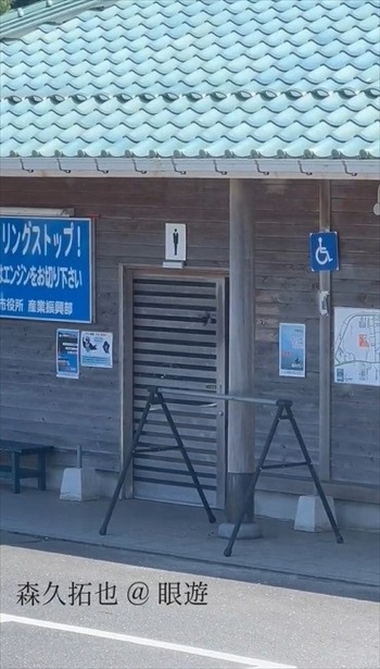 ツバメの知能がすごい