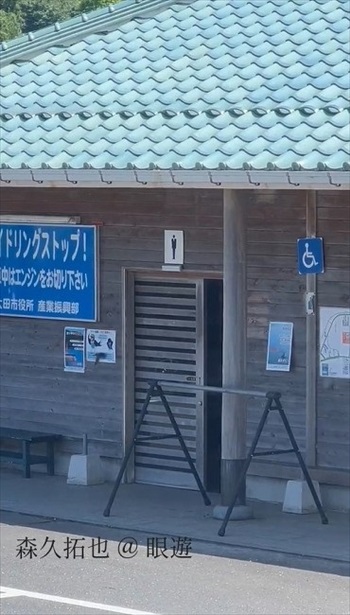 ツバメの知能がすごい