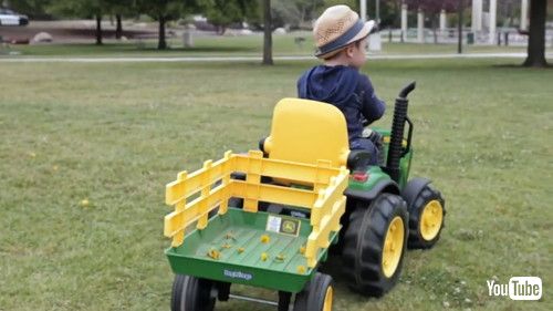「Kid Collects Dandelions in His Toy Truck From Park - 1432946」