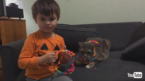 「Kid Dresses Up Cat With Necklaces Made Out of Pop Beads - 1409427」