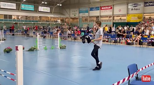 乗馬 ホビーホース フィンランド