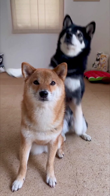 立ち上がって