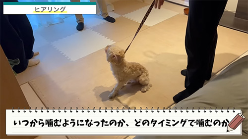 ドッグトレーナーとワンコ