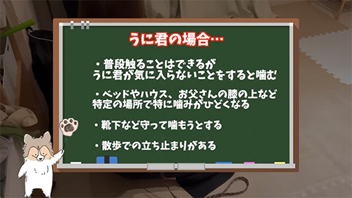 ドッグトレーナーの指導