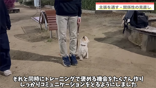 ワンコとお母さん