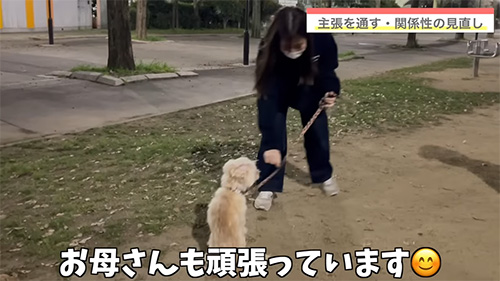 トレーニング中のワンコ