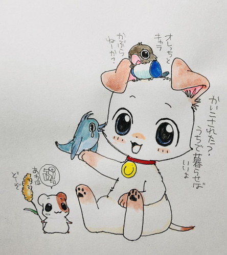 『ぷくぷく天然かいらんばん』