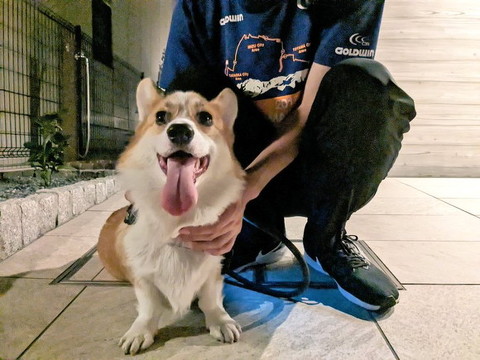 飼い主さんとワンコ