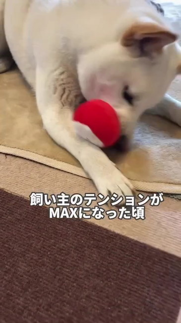 テンションMAX