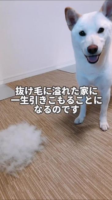 一生引きこもり