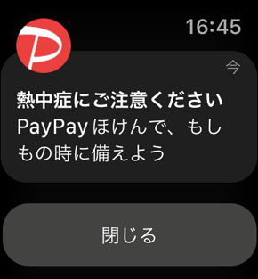 PayPay