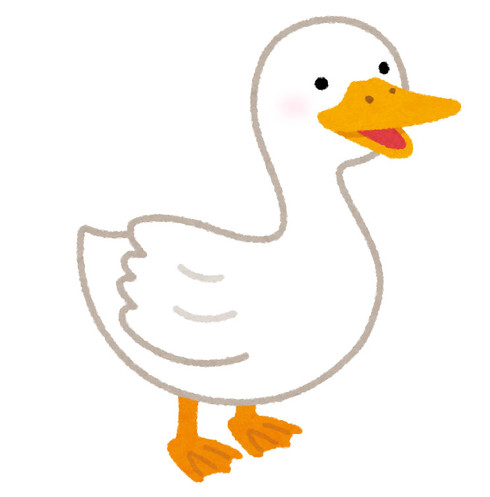 くちばし　アヒル