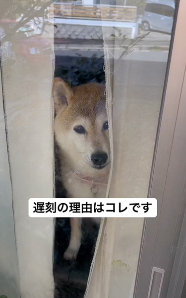 遅刻の理由はコレです