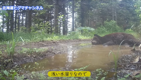 浅い水たまりテロップ