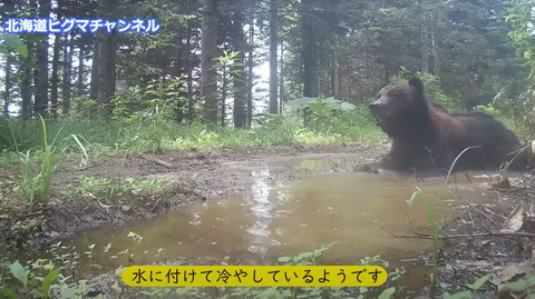 水につけて冷やしているテロップ