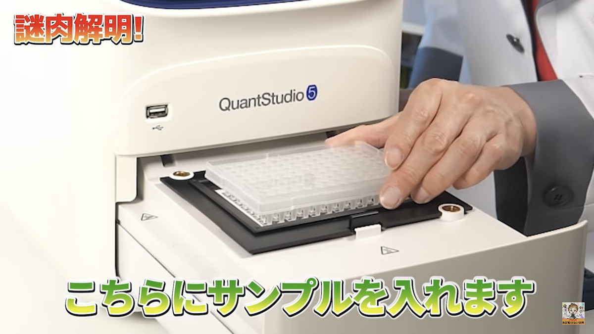 カップヌードルの「謎肉」をDNA分析で正体解明！　本格的な機器を用いた実験が「すごい」「為になります」と称賛呼ぶ