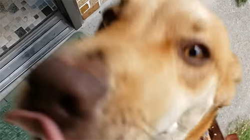 ラブくんドアップ