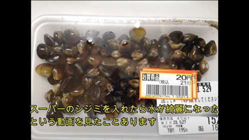 おすすめ