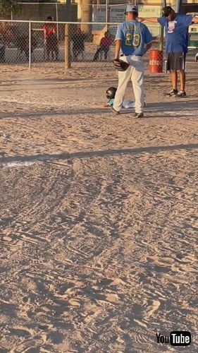 「Little League Slugger Falls Before First Base || ViralHog」