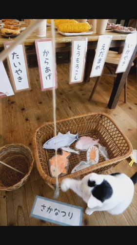 「中1男子縁日メニューつくります」