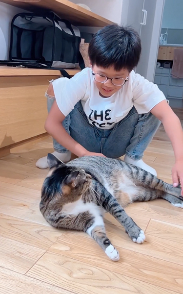 気持ちよさそうにおなかをなでられる猫