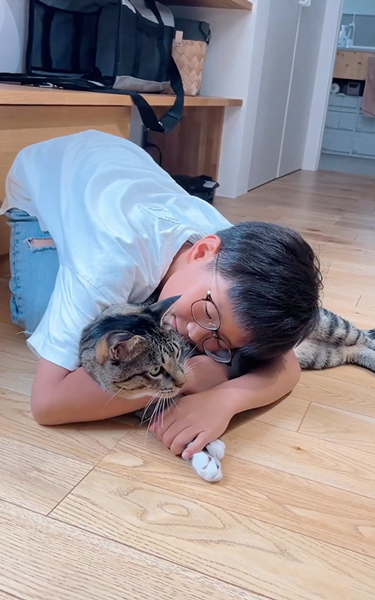 気持ちよさそうにおなかをなでられる猫