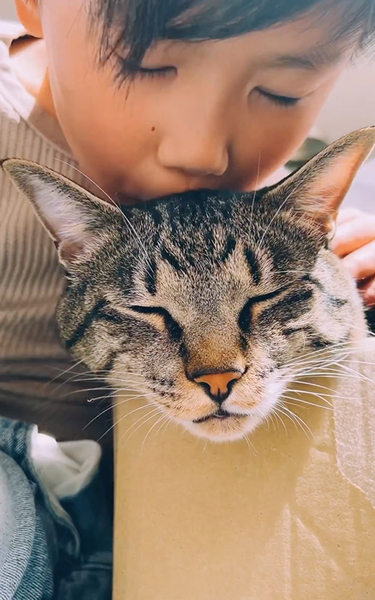 猫ちゃんにチュッチュッ