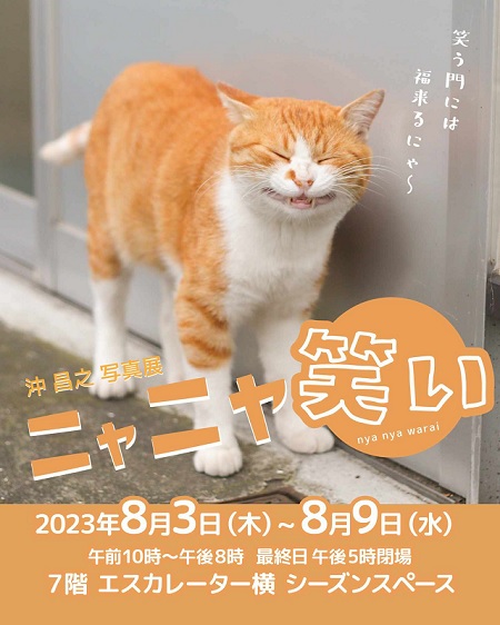 ニャニャ笑い新宿