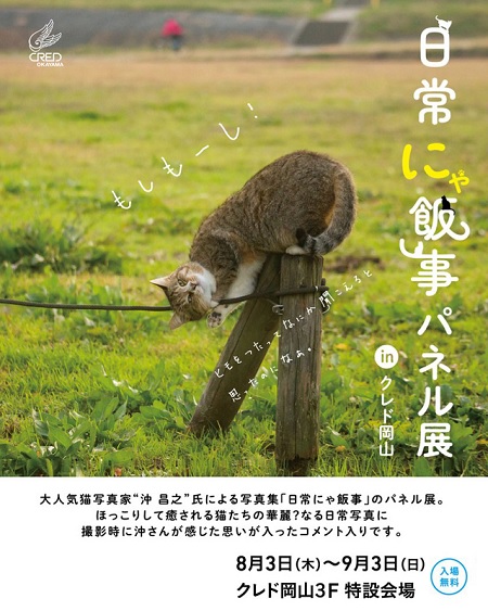 日常にゃ飯事パネル展