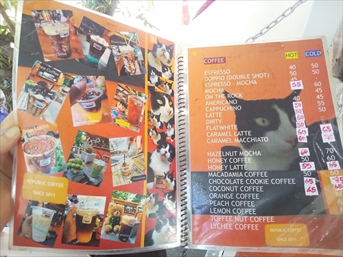 「俺の猫を見てくれ」が強すぎるタイのコーヒー屋さん