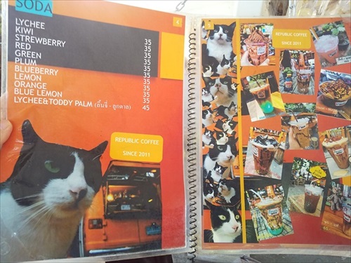 「俺の猫を見てくれ」が強すぎるタイのコーヒー屋さん