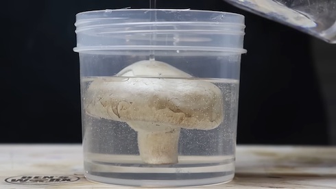 画像内テキスト