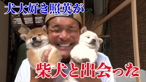 照英さんが柴犬とふれあい
