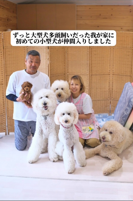 ワンコの家族写真