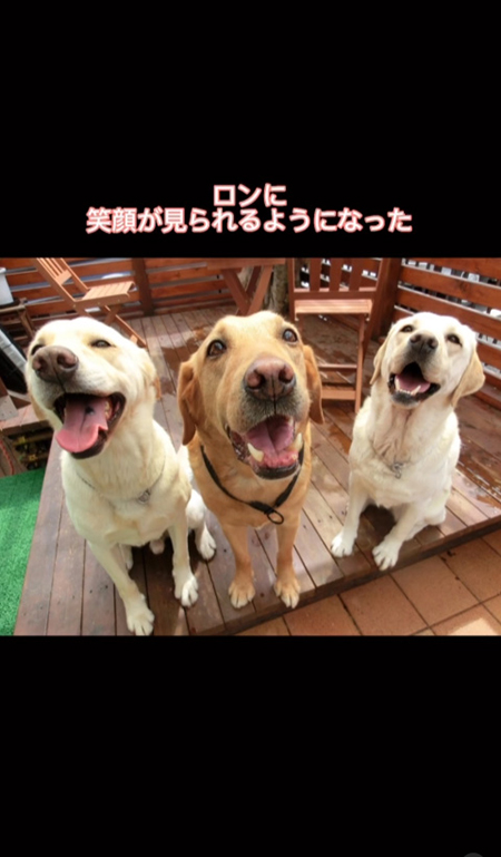 笑顔が見られるワンコ