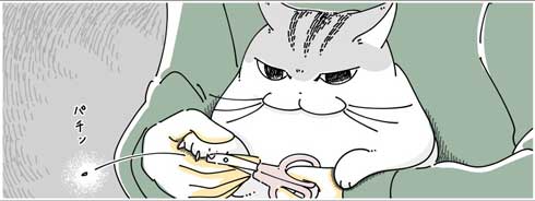 夜は猫といっしょキュルガちゃん爪切りを終わらせる漫画