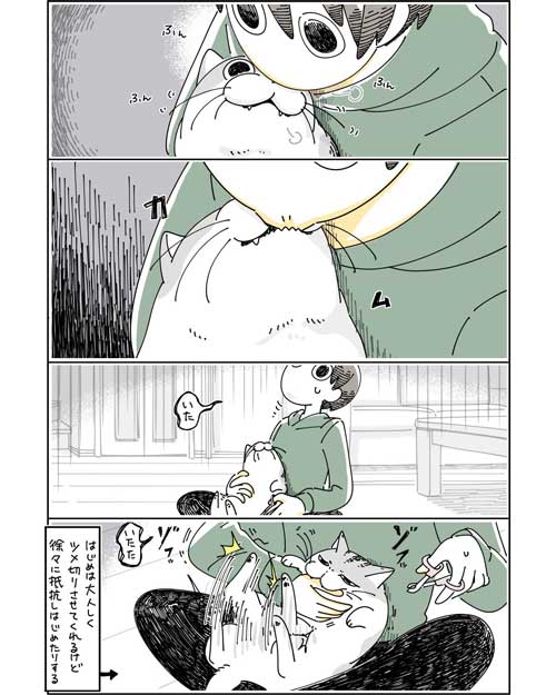 夜は猫といっしょキュルガちゃん爪切りを終わらせる漫画