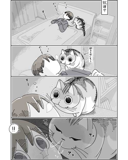 夜は猫といっしょキュルガちゃん鼻息で起こす猫漫画