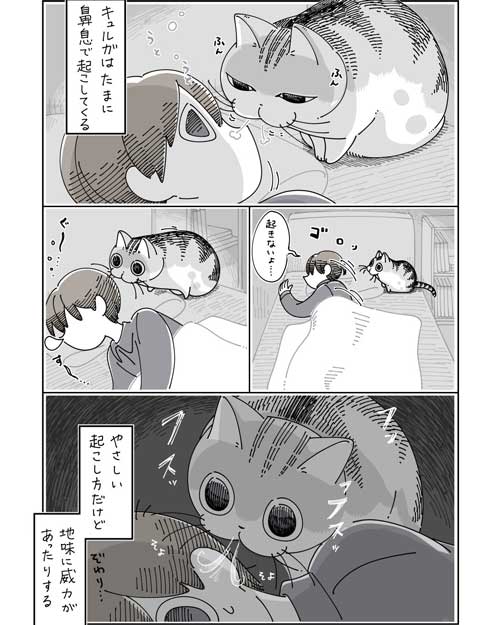 夜は猫といっしょキュルガちゃん鼻息で起こす猫漫画