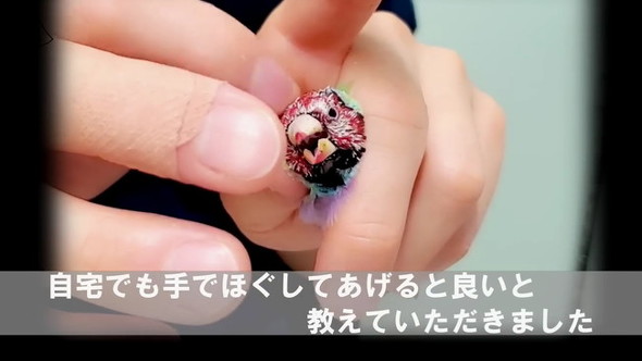 教えてもらった