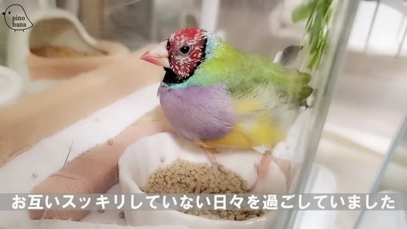 スッキリしない日々